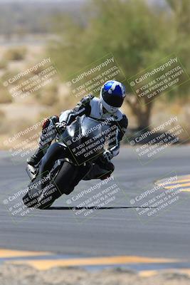 media/May-14-2023-SoCal Trackdays (Sun) [[024eb53b40]]/Turn 5 Tree of Life (1125am)/